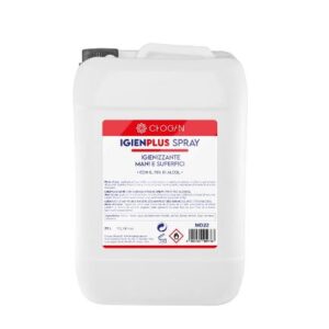 CHOGAN SUCCES - IGIENPLUS SPRAY HYDROALCOOLIQUE MAINS ET SURFACES - 25 L