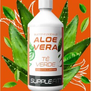 CHOGAN SUCCES - JUS ET PULPE D’ALOE VERA AVEC DU THÉ VERT