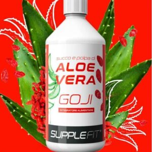 CHOGAN SUCCES - JUS ET PULPE D’ALOE VERA AVEC DU GOJI