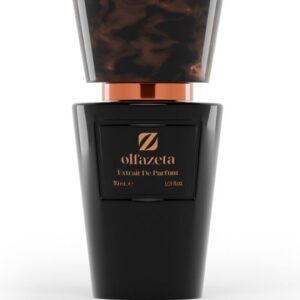 Parfum Homme Essence 30 % - 30 Ml