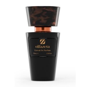 Parfum Homme Essence 30% - 70 Ml